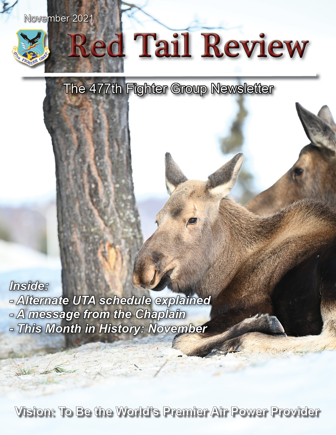 Cover of the Red Tail Review Newsletter for November 2021